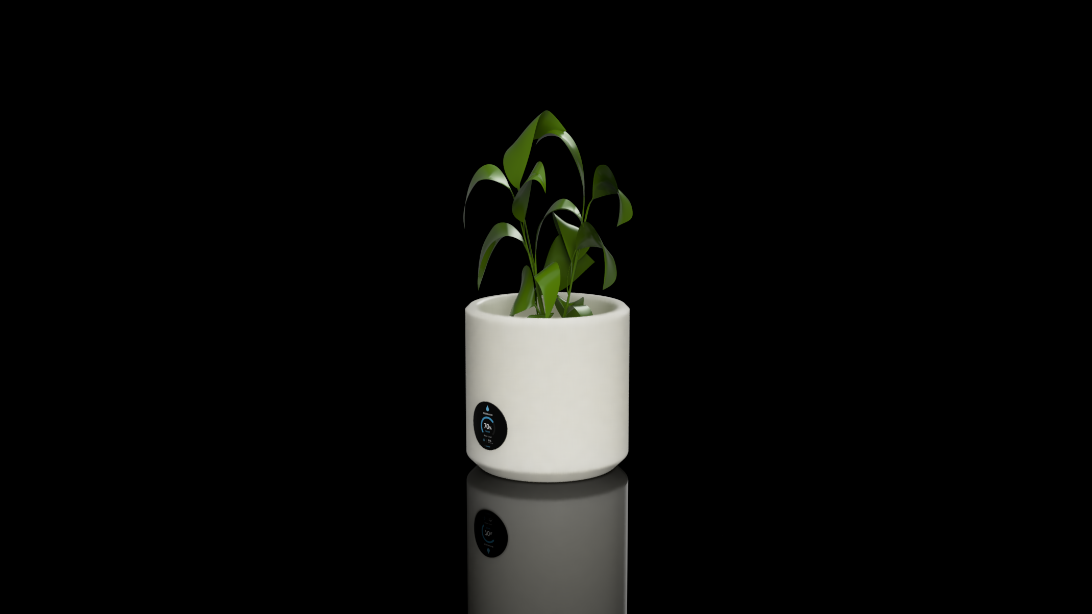Self Watering Plant Pot